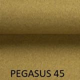 Pegasus-45.jpg
