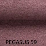 Pegasus-59.jpg