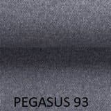 Pegasus-93.jpg