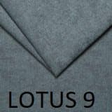lotus-9.jpg